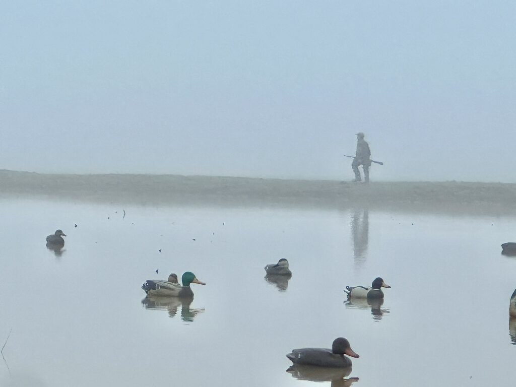 Fog in the Decoys