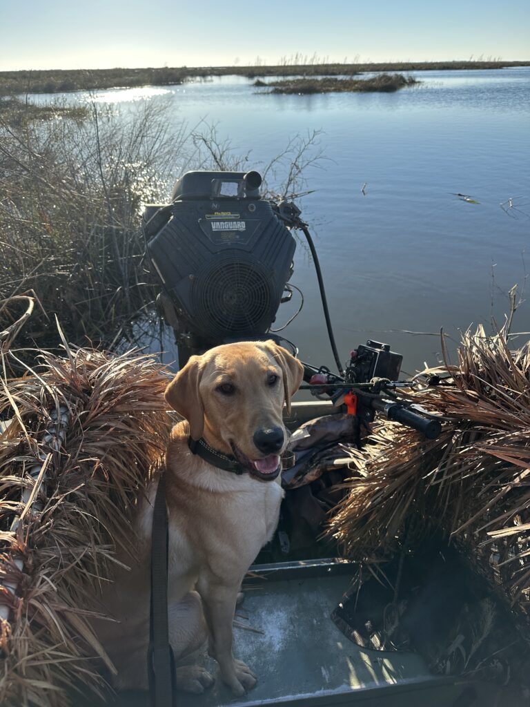 Simbas first hunt