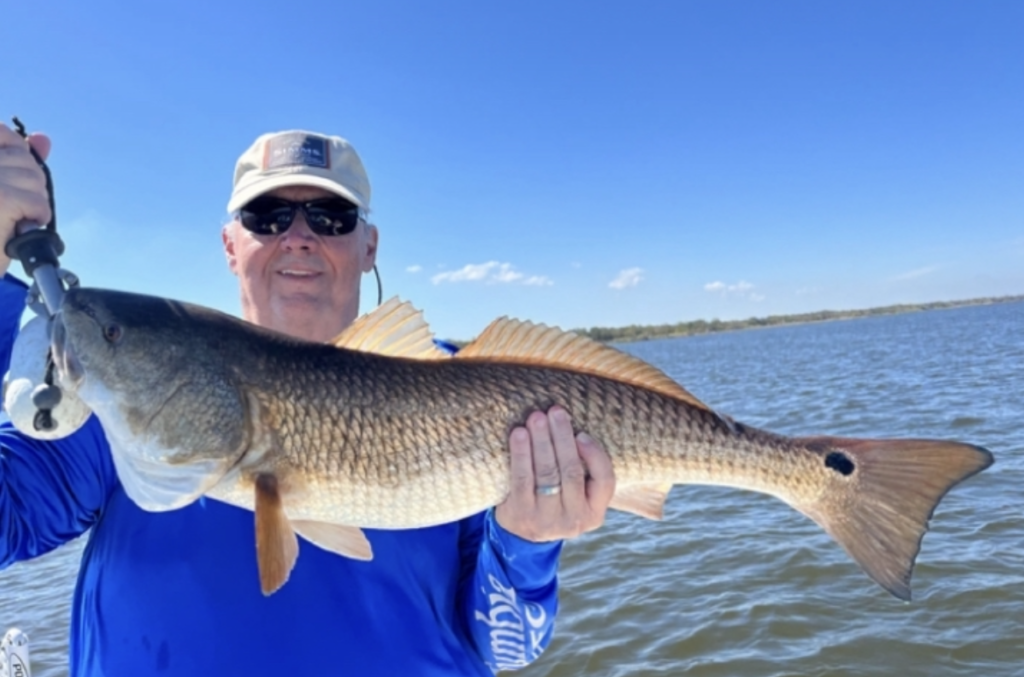 Redfish