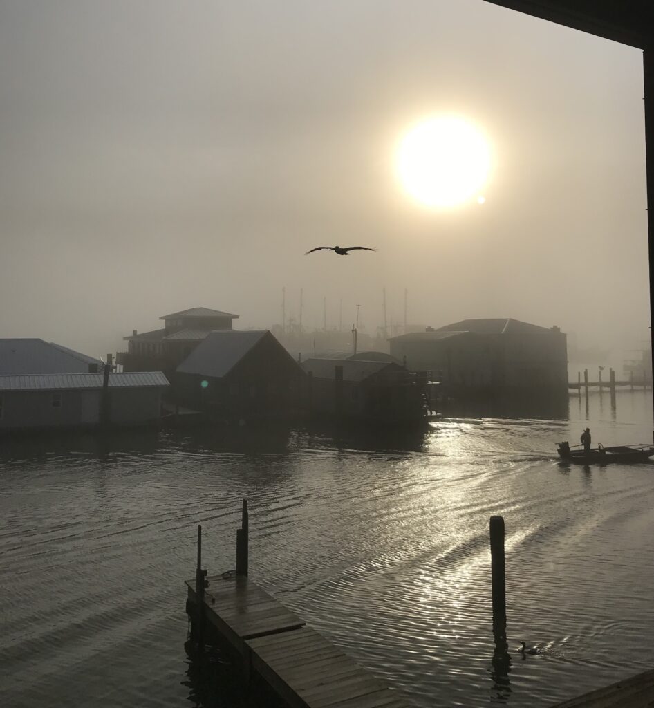 Fog in Venice