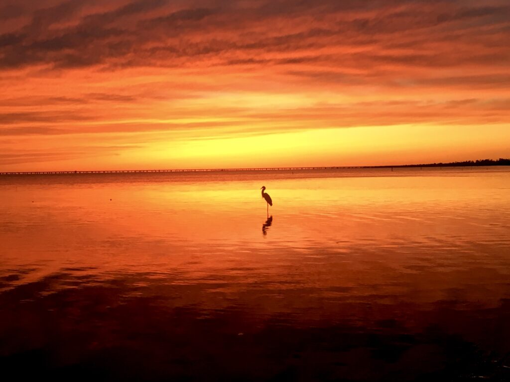 On The Bayou