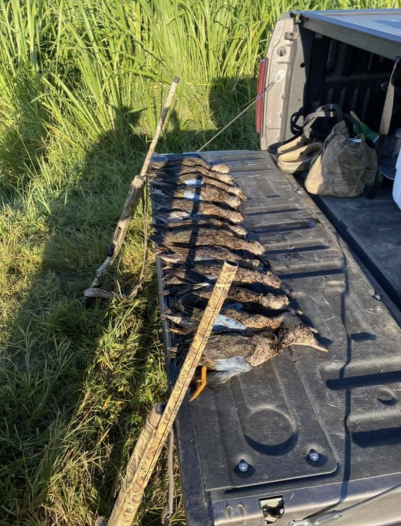 Opening day for teal