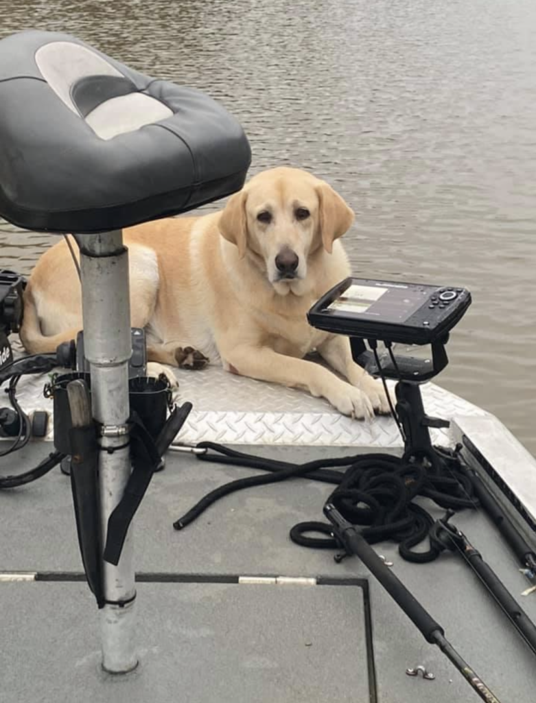 Fishing Partner