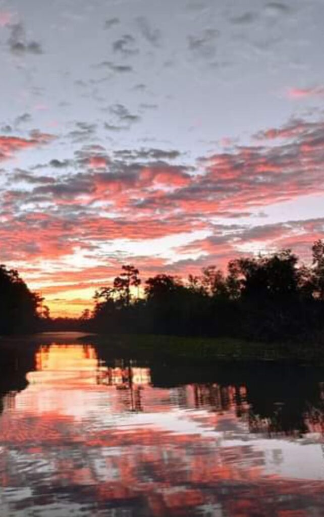 Sunrise Bayou Segnette