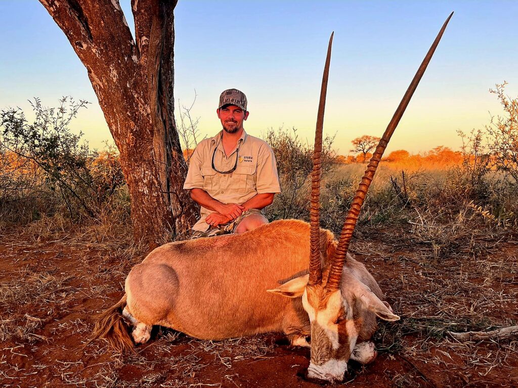 Golden Gemsbok