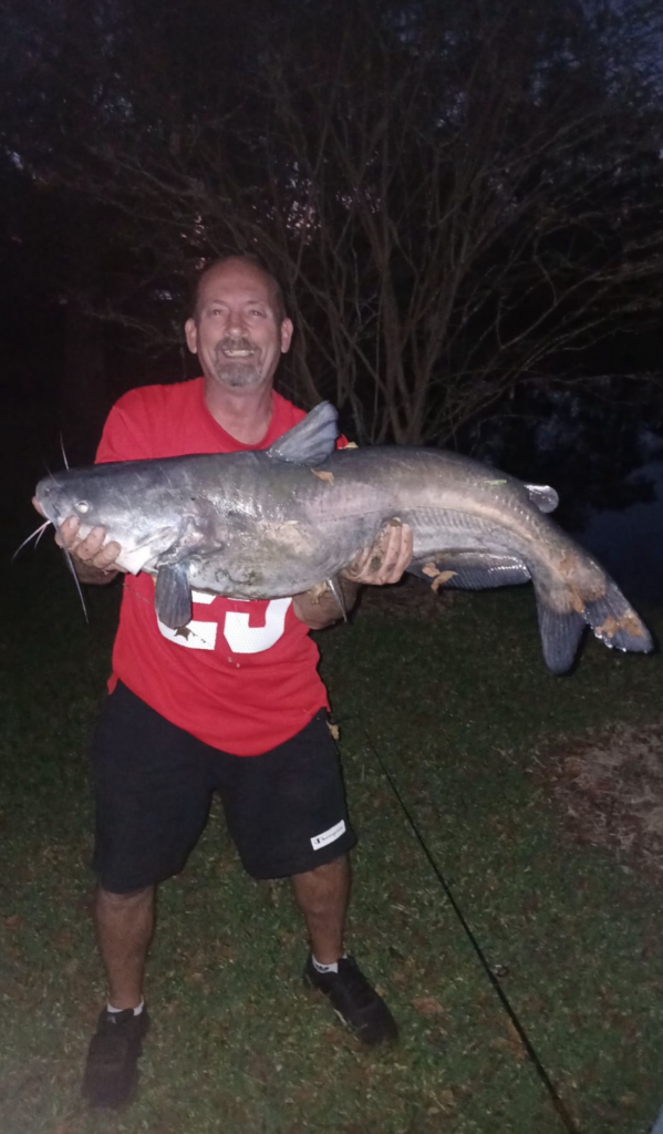 Big cat