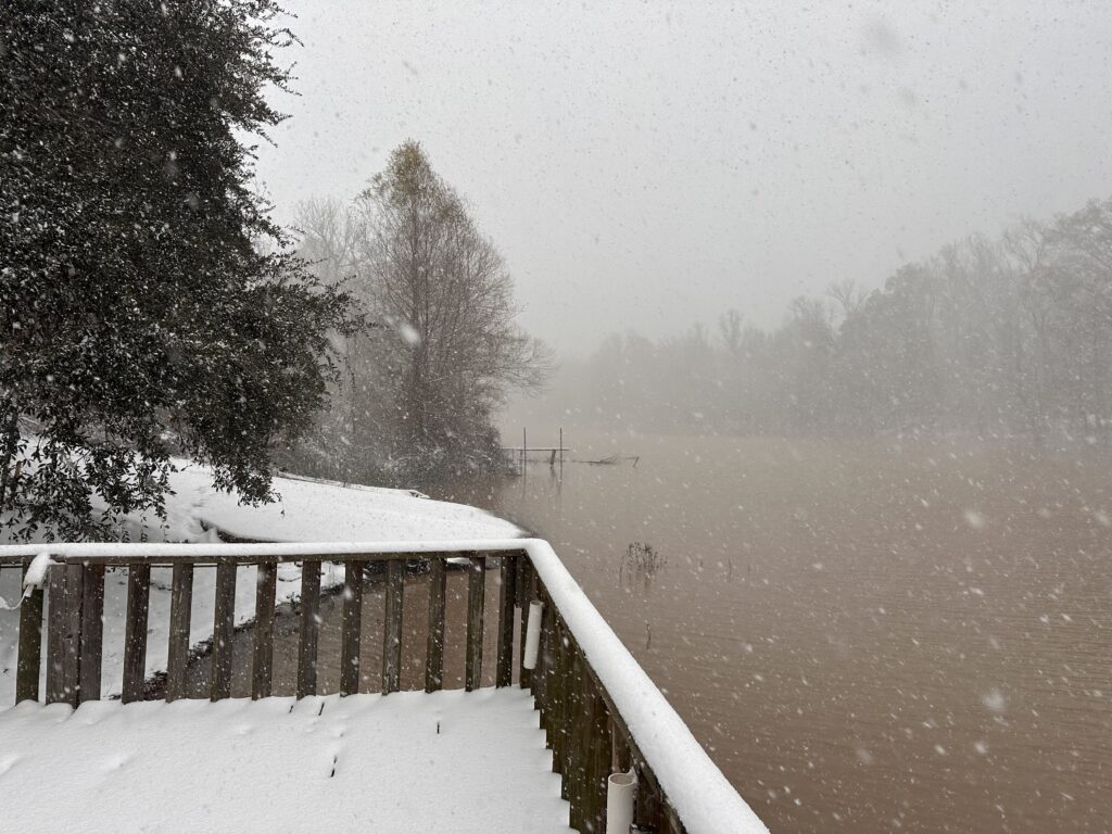 Sneaux on Big Alabama