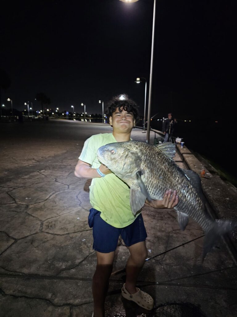 Big Black Drum!
