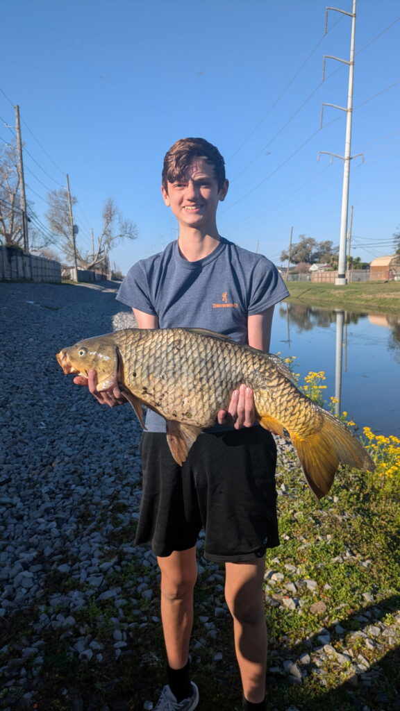 Louisiana Carp