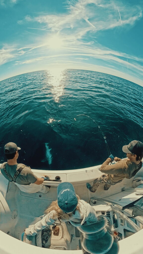 2/2 swordfish Venice LA