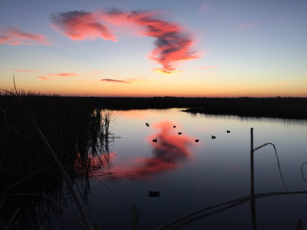 Reflection in the old duck pond