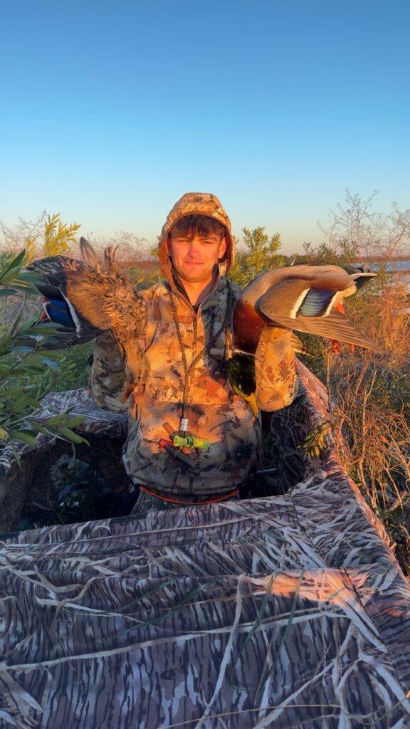 Stud Green head and his hen