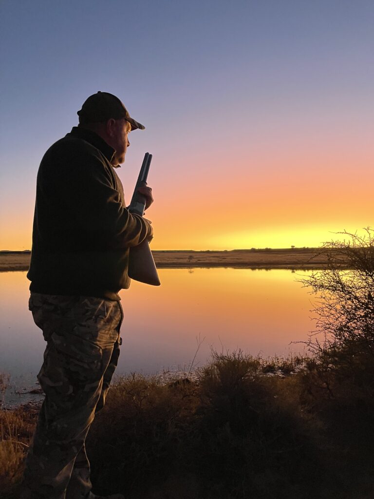 Sunset Wild duck hunt