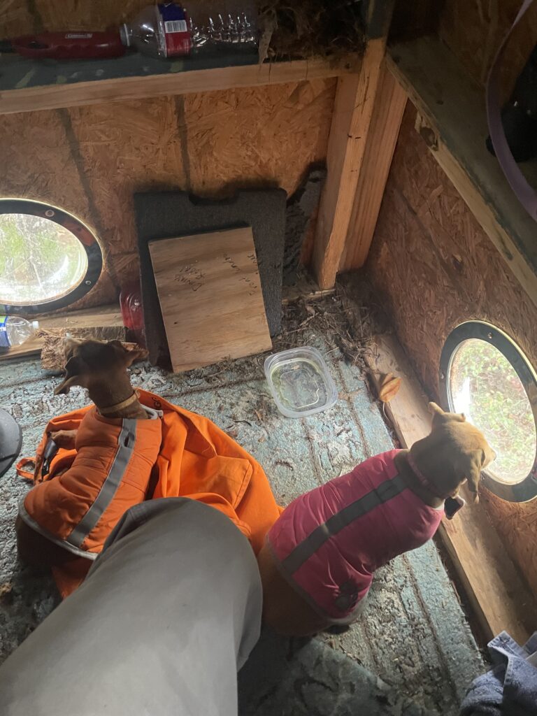 Hunting with the weenies.